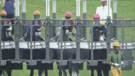 261dc1496547b256825c121277e09f4c.gif 261dc1496547b256825c121277e09f4c.gif
