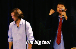 14bef77aa2a66648eadff58001ebc2ee.gif
